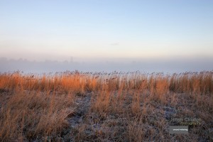 The sun brakes on a frosty winter morning over Oulton Marshes